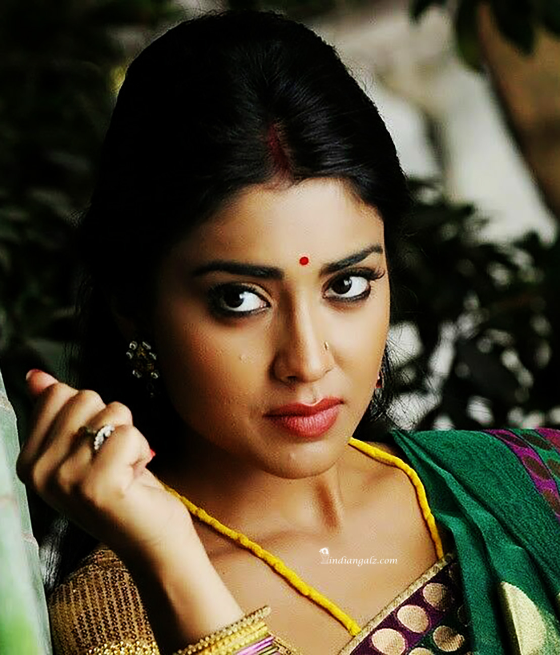 Shriya Saran 17