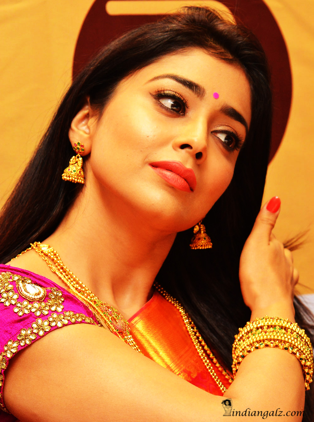 Shriya Saran 20