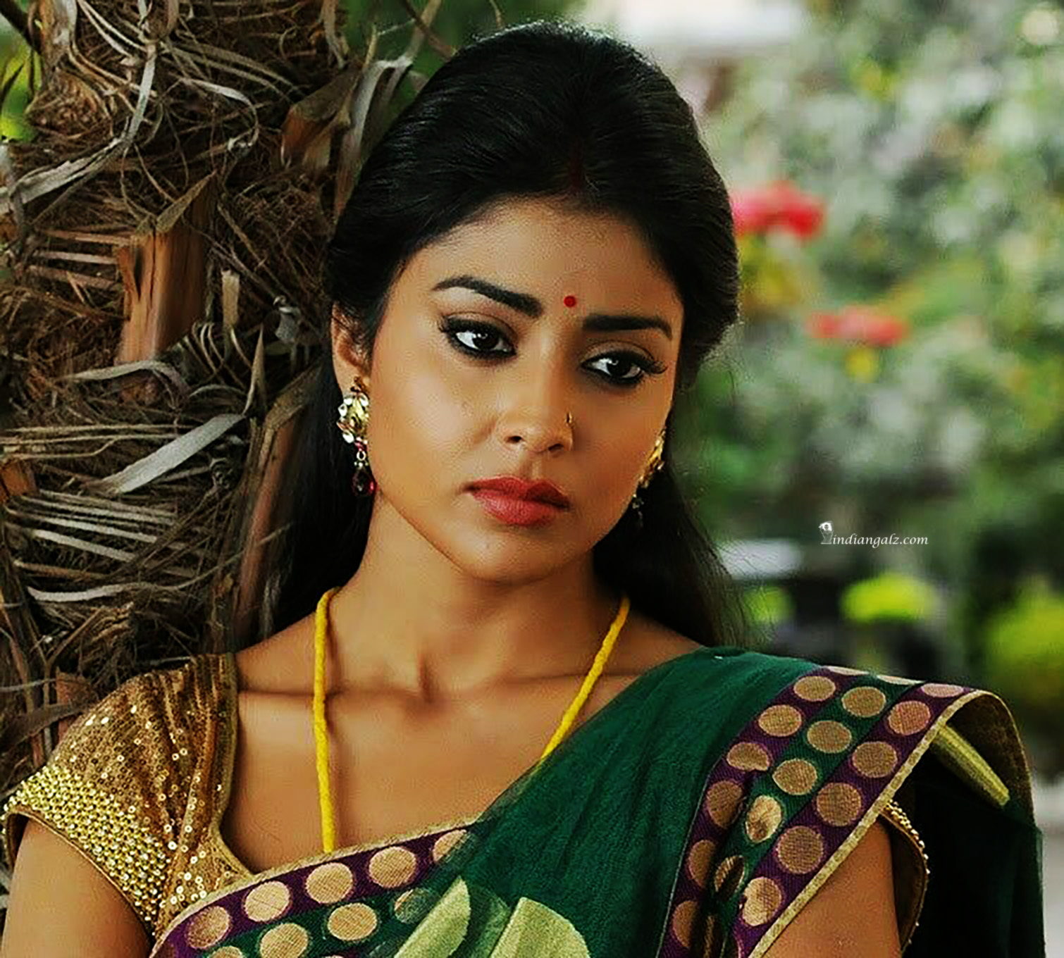 Shriya Saran 24