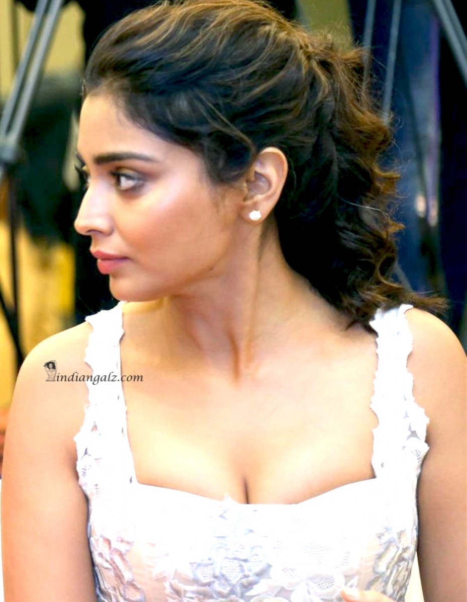 shriya saran boobs cleavage sexy 28